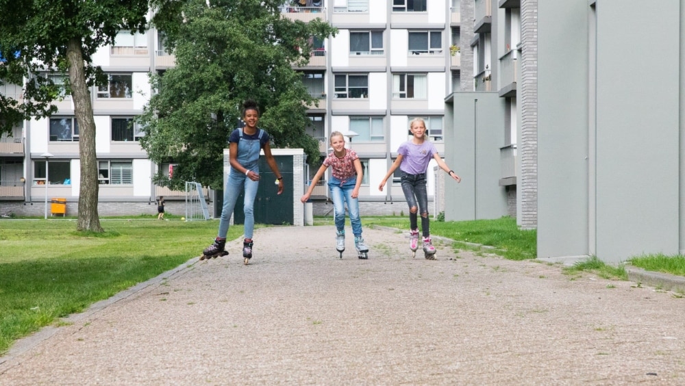 Stichting Timon – Handmatige datamigratie