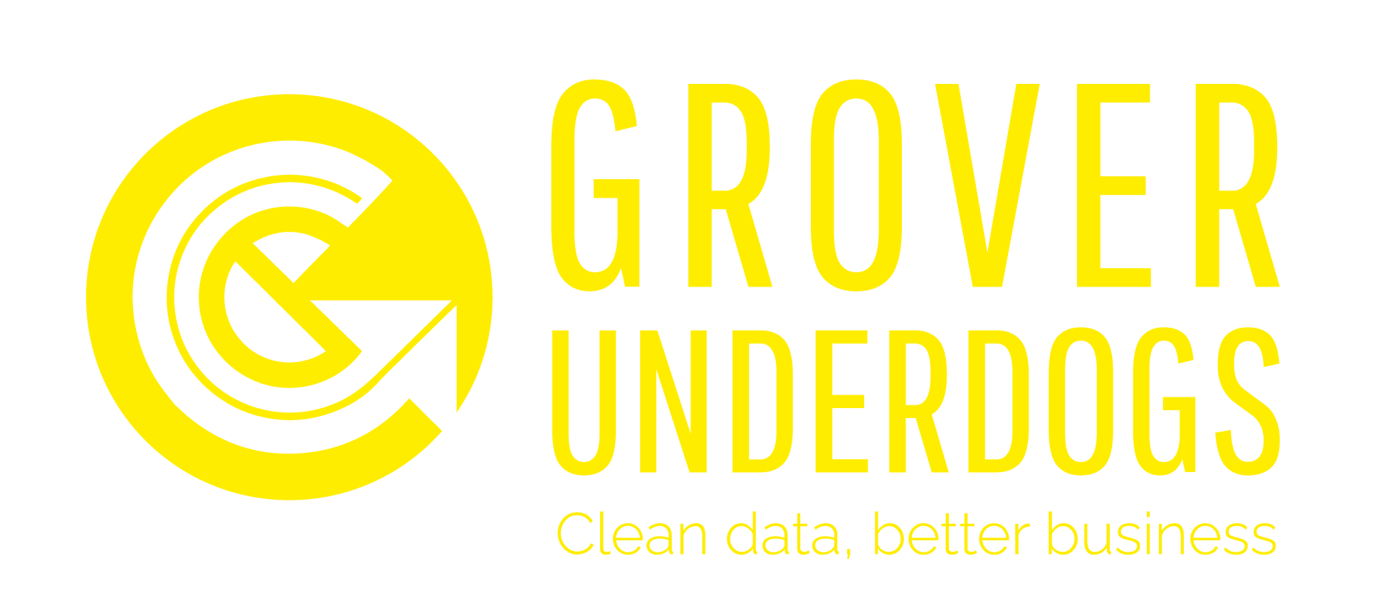 GROVER | Partner in Business Intelligence